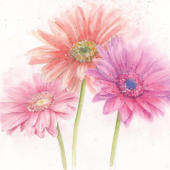 Card Gerbera